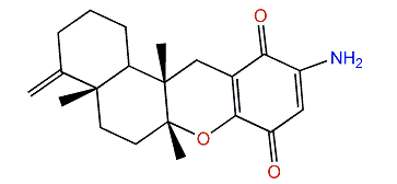 Smenohaimien F